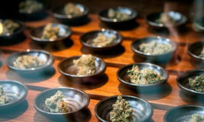 Unternehmen im Bereich medizinisches Cannabis in den USA