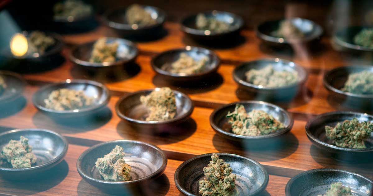 Unternehmen im Bereich medizinisches Cannabis in den USA