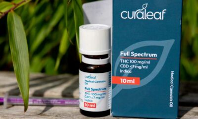 Medizinisches Cannabis kommt nach Spanien