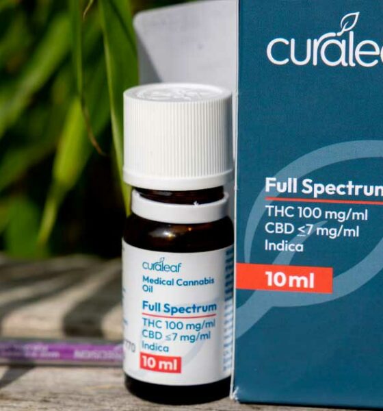 Medizinisches Cannabis kommt nach Spanien
