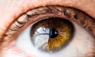 CBD und die Behandlung von Augenentzündungen