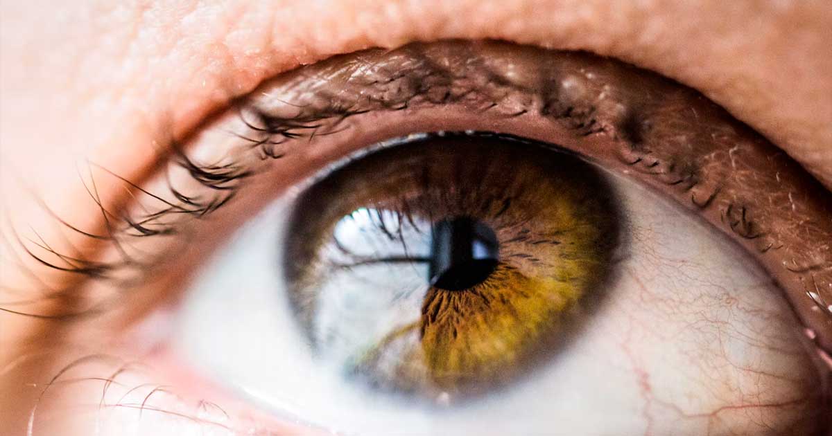 CBD und die Behandlung von Augenentzündungen