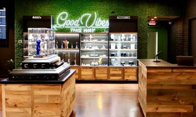 Die Wähler in Massachusetts wollen, dass Cannabis legal bleibt