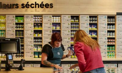 Ein Vergleich zwischen Frankreich und Québec in Bezug auf Cannabis