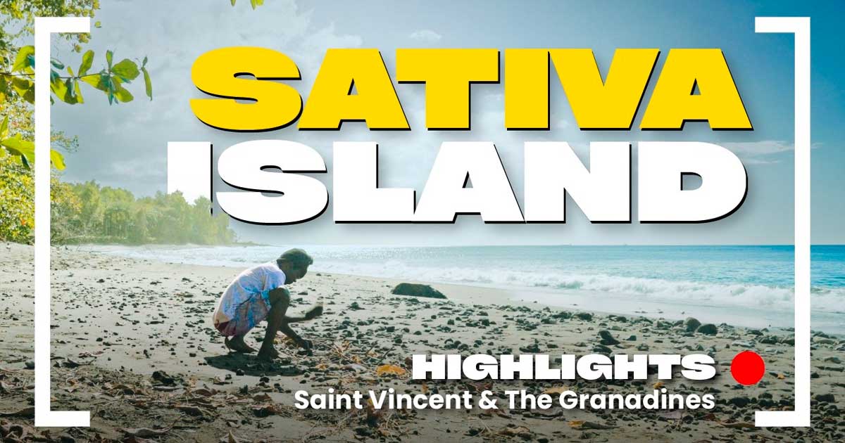 Die Sativas aus St. Vincent und den Grenadinen